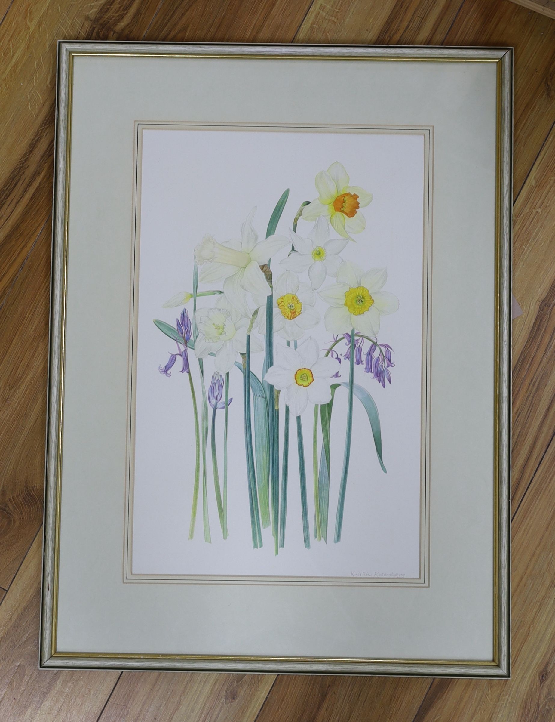 Kristen Rosenberg (b.1933), watercolour, Narcissi and bluebells, signed, 51 x 33cm